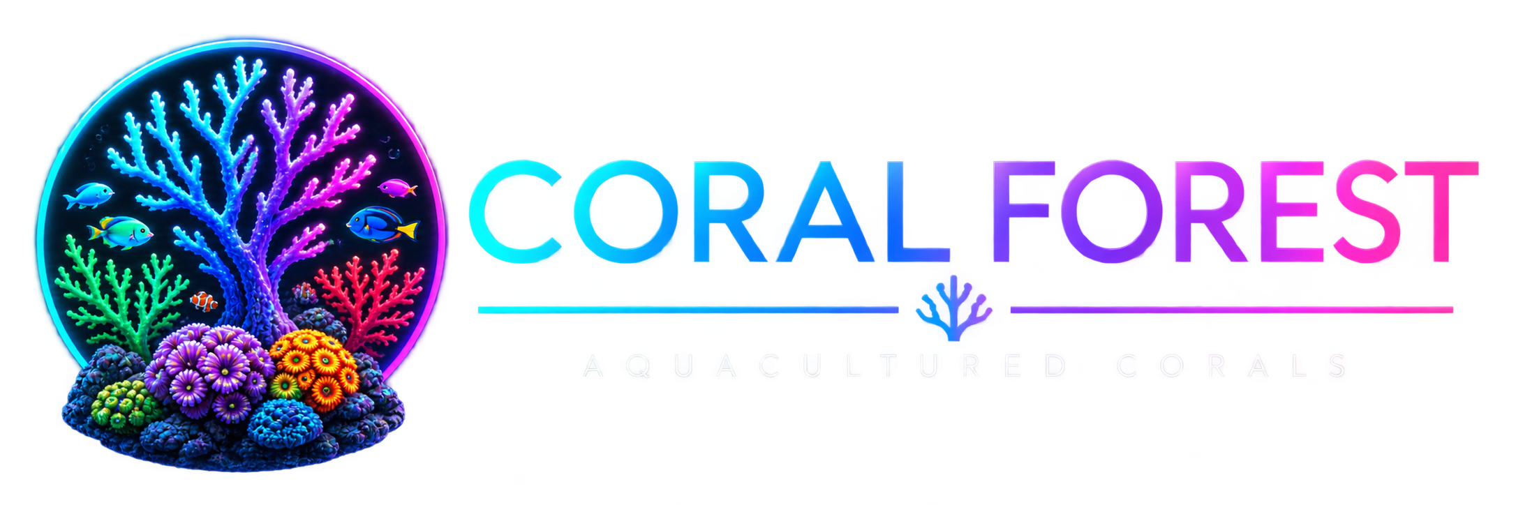 Coral Forest – akwarystyka morska
